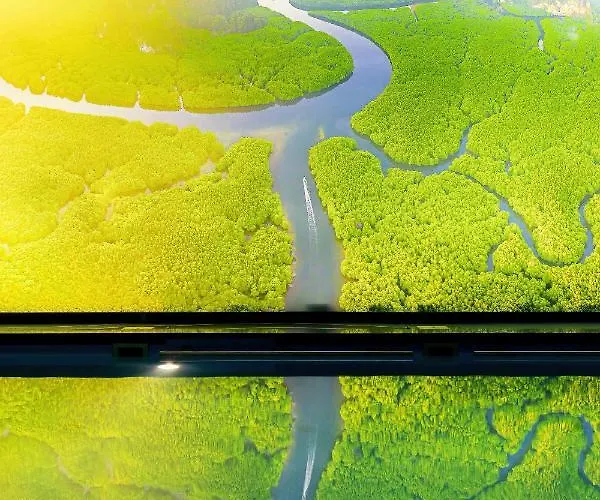 리조트 Gryf 미에드지보드지